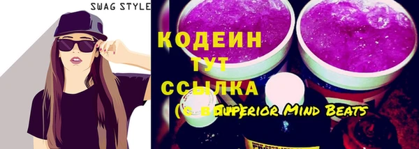 МДПВ Ельня