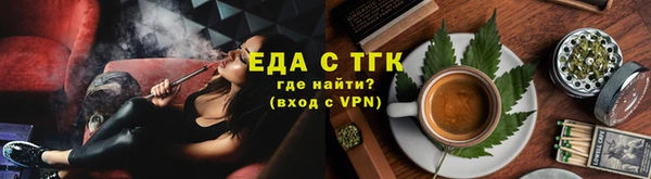 МДПВ Ельня