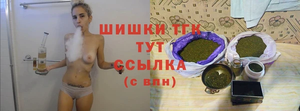 МДПВ Ельня