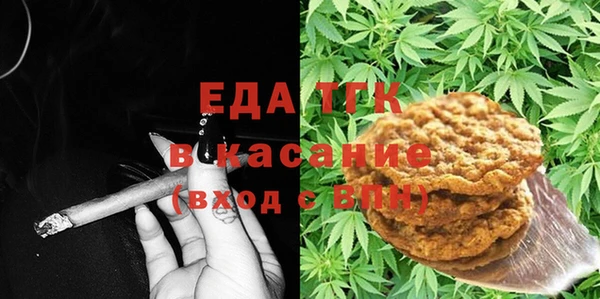 МДПВ Ельня