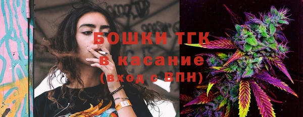 МДПВ Ельня