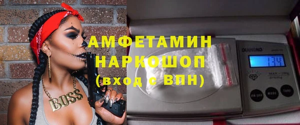 МДПВ Ельня